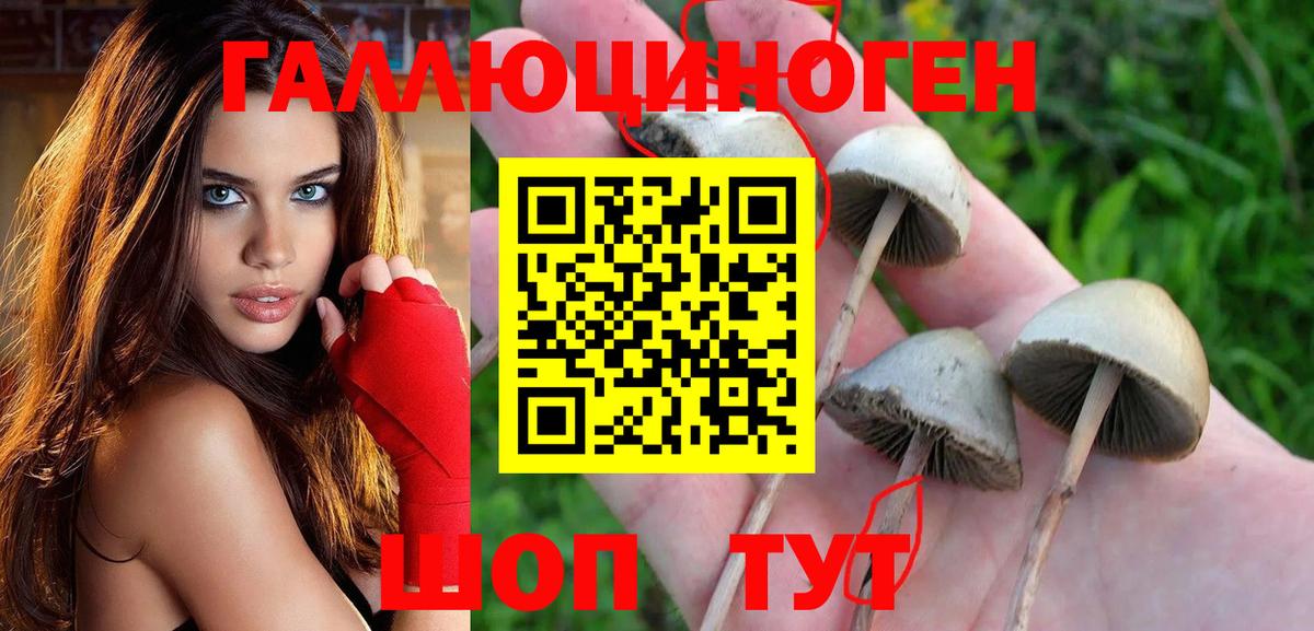 Псилоцибиновые грибы прущие грибы Удомля