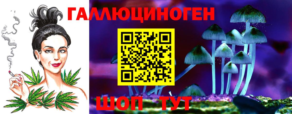 Удомля  Псилоцибиновые грибы Cubensis  Вход с VPN 